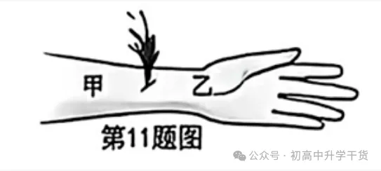 2026年重庆中考真题试题+答案解析(生物)| PDF高清下载版-第2张图片-四季读书网