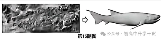 2026年重庆中考真题试题+答案解析(生物)| PDF高清下载版-第4张图片-四季读书网