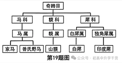 2026年重庆中考真题试题+答案解析(生物)| PDF高清下载版-第5张图片-四季读书网