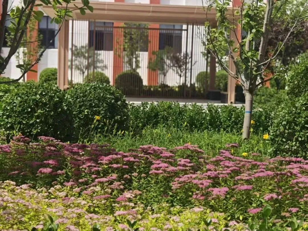 【中考倒计时6天】安丰高级中学,给少年更好的成长赛道-第18张图片-四季读书网