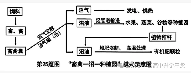 2026年重庆中考真题试题+答案解析(生物)| PDF高清下载版-第11张图片-四季读书网