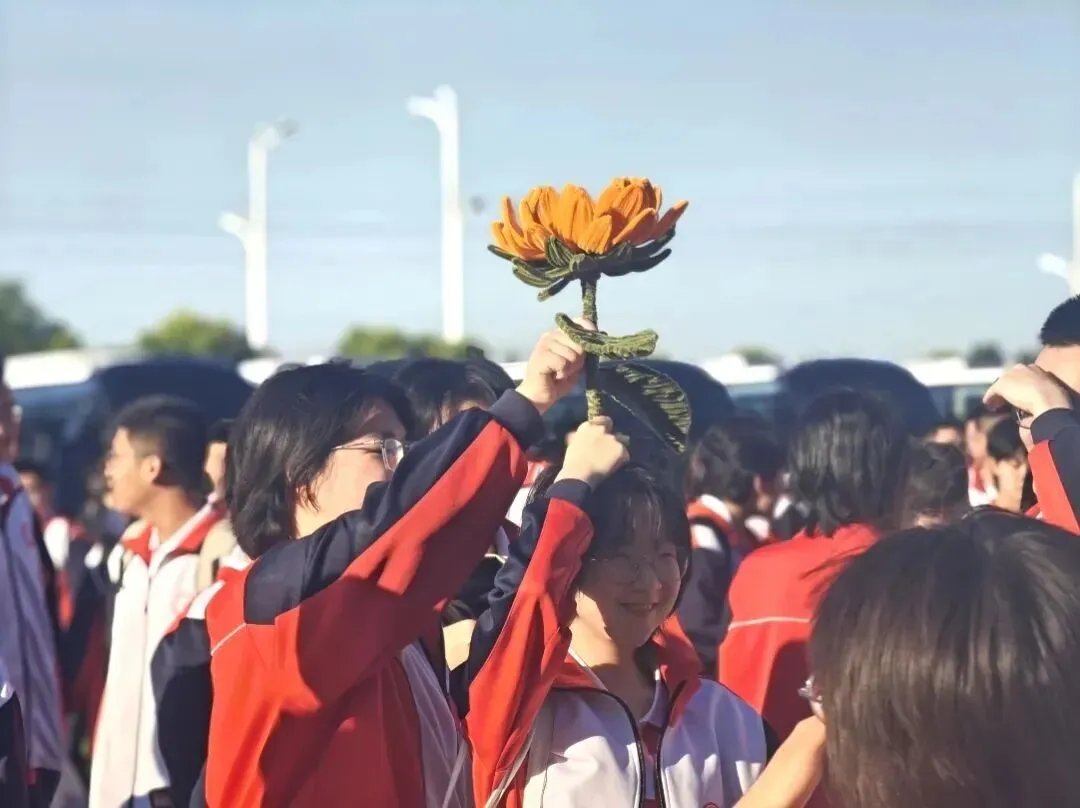 【中考倒计时6天】安丰高级中学,给少年更好的成长赛道-第57张图片-四季读书网