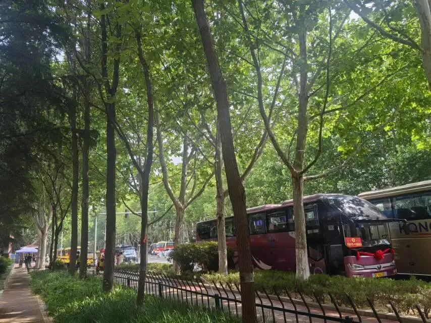 中考结束,接续奋斗---实验高中欢迎你-第1张图片-四季读书网