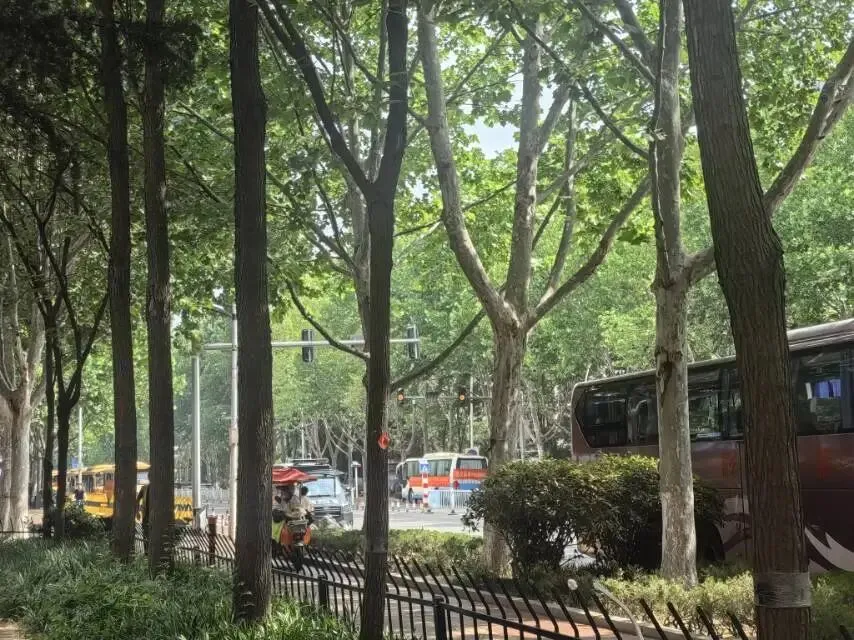 中考结束,接续奋斗---实验高中欢迎你-第2张图片-四季读书网