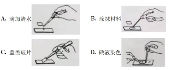 中考识图作答专项:关系图、流程图命题分析+典型真题-第34张图片-四季读书网