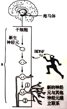 中考识图作答专项:关系图、流程图命题分析+典型真题-第38张图片-四季读书网