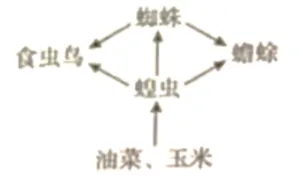 中考识图作答专项:关系图、流程图命题分析+典型真题-第40张图片-四季读书网