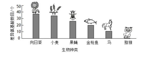 中考识图作答专项:关系图、流程图命题分析+典型真题-第54张图片-四季读书网