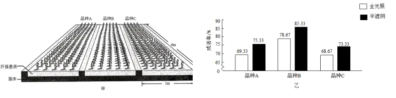 中考识图作答专项:关系图、流程图命题分析+典型真题-第58张图片-四季读书网
