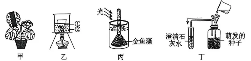 中考识图作答专项:关系图、流程图命题分析+典型真题-第64张图片-四季读书网