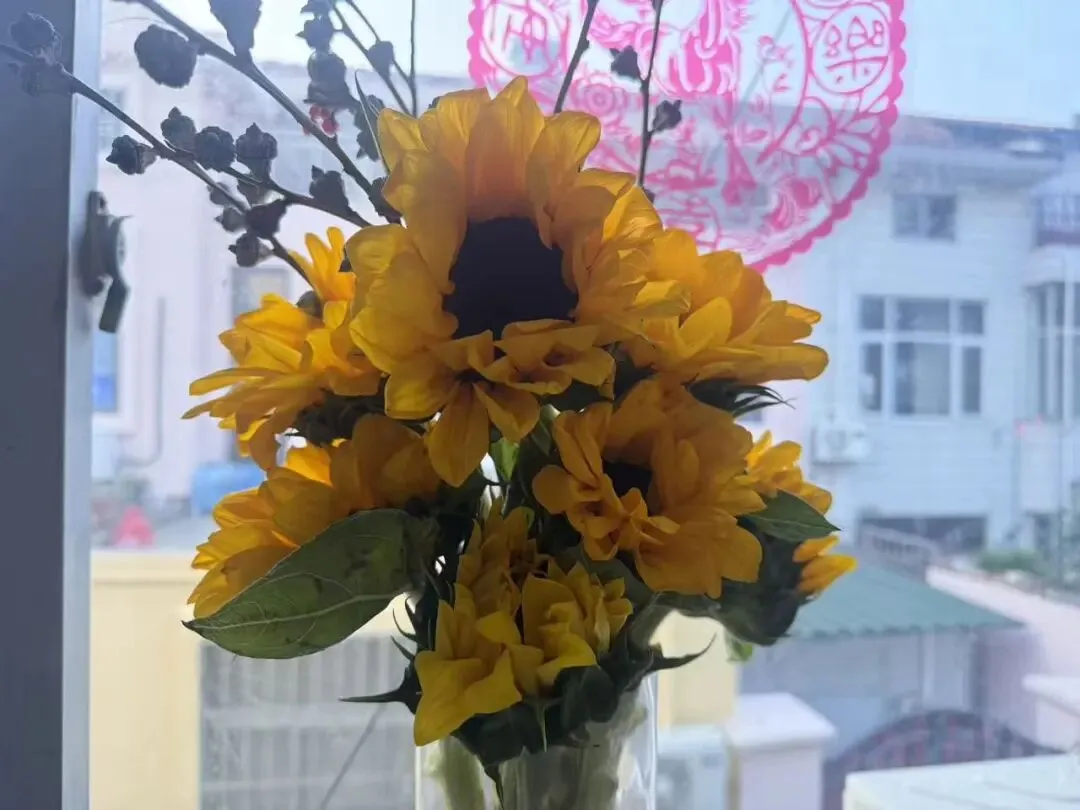 中考落幕:原来成长,是一场温柔的告别-第5张图片-四季读书网 中考落幕:原来成长,是一场温柔的告别-第5张图片-四季读书网