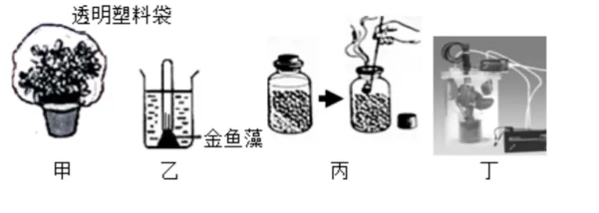中考识图作答专项:关系图、流程图命题分析+典型真题-第81张图片-四季读书网