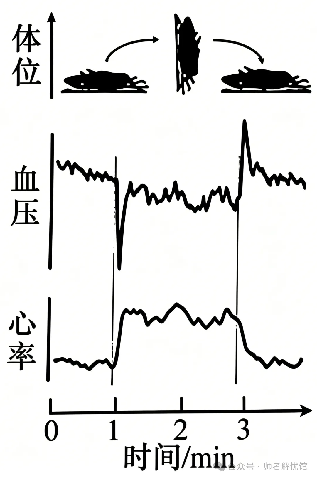 【高考真题】2026安徽省高考生物学真题逐题详解+溯源 +考情+考点总结(建议收藏)-第3张图片-四季读书网