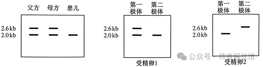 【高考真题】2026安徽省高考生物学真题逐题详解+溯源 +考情+考点总结(建议收藏)-第6张图片-四季读书网