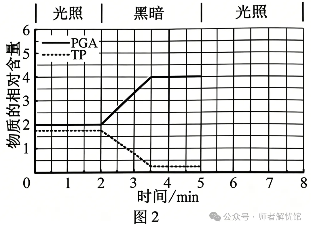【高考真题】2026安徽省高考生物学真题逐题详解+溯源 +考情+考点总结(建议收藏)-第11张图片-四季读书网