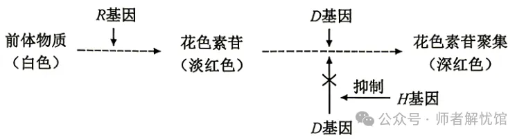 【高考真题】2026安徽省高考生物学真题逐题详解+溯源 +考情+考点总结(建议收藏)-第17张图片-四季读书网