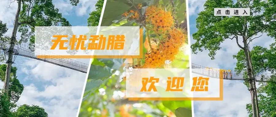 记得提早出门!中考期间云南这些地方将有暴雨、大暴雨-第2张图片-四季读书网