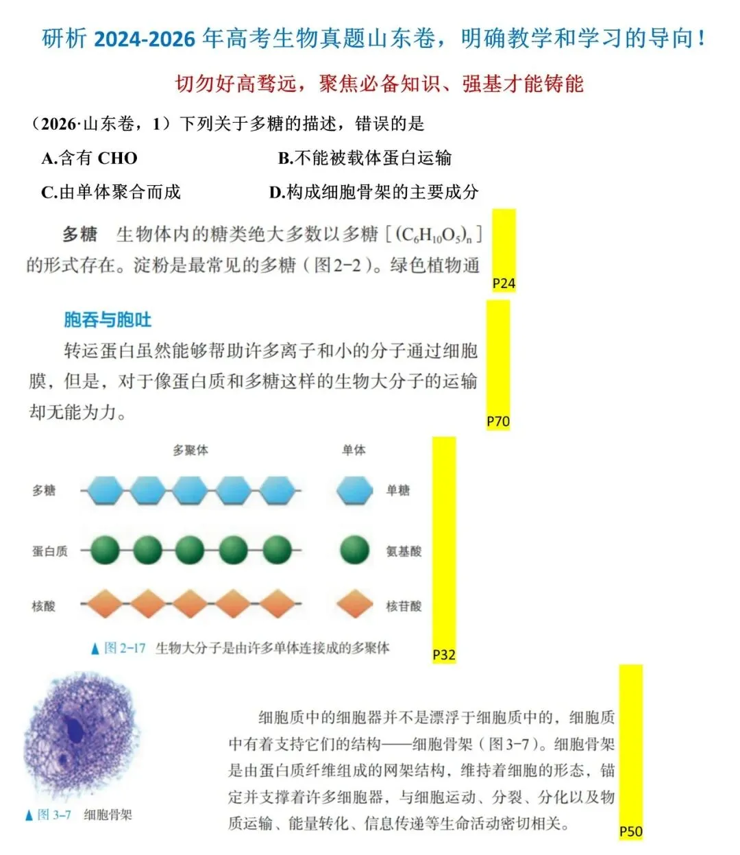 研析2024-2026年高考生物真题山东卷,明确教学和学习的导向!-第2张图片-四季读书网