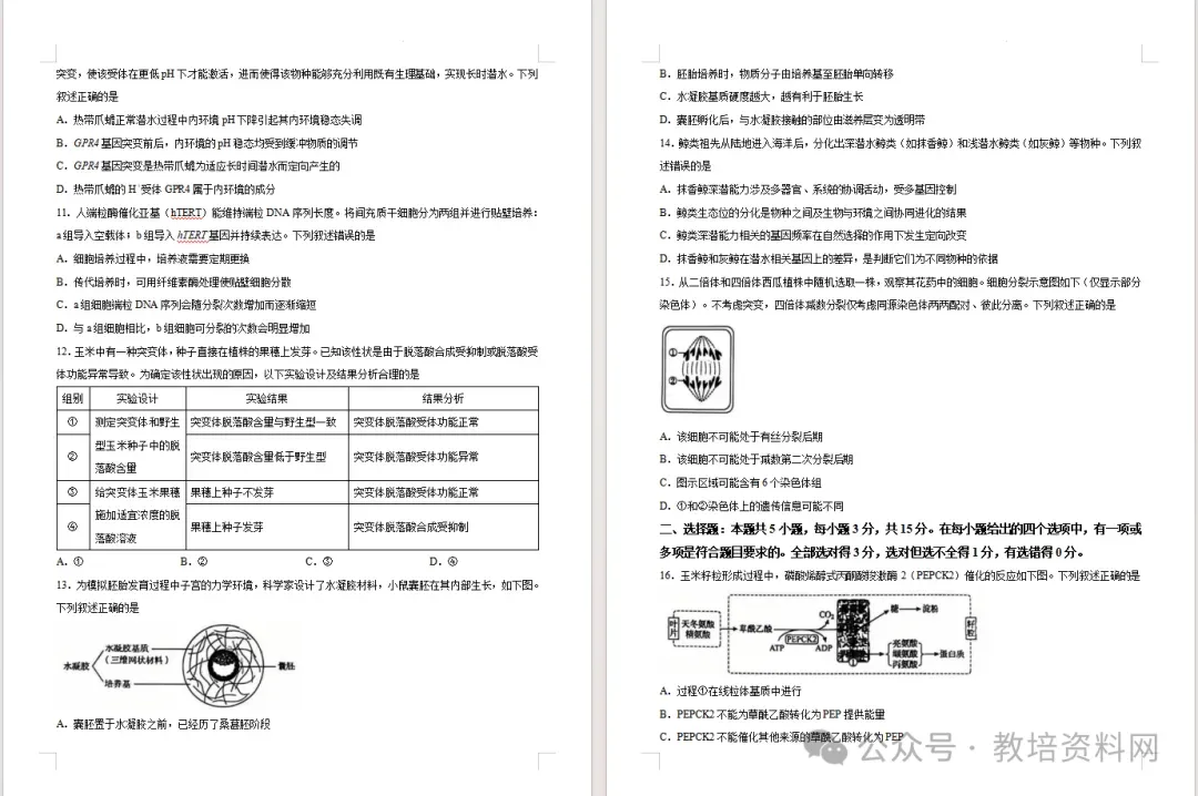 2026年辽宁省高考真题语、数、英、物、化、生试卷(适用黑龙江、吉林、内蒙古)-第33张图片-四季读书网