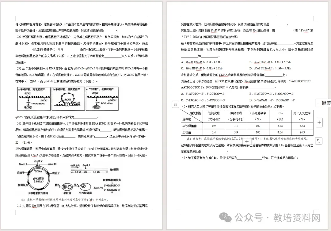 2026年辽宁省高考真题语、数、英、物、化、生试卷(适用黑龙江、吉林、内蒙古)-第36张图片-四季读书网