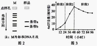 真题+答案+详解+知识点溯源:2026高考河南卷(附:下载链接)-第9张图片-四季读书网 真题+答案+详解+知识点溯源:2026高考河南卷(附:下载链接)-第9张图片-四季读书网