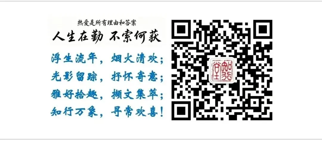 真题速递︱2026高考全国二卷语文试题+参考答案-第13张图片-四季读书网 真题速递︱2026高考全国二卷语文试题+参考答案-第13张图片-四季读书网