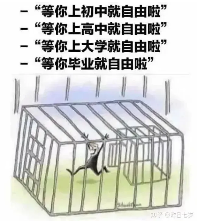 中考高考指挥棒又变了!孩子学习成绩不好怎么办?失业找不到工作怎么办?如何提高考试成绩?如何防止被AI取代?-第38张图片-四季读书网 中考高考指挥棒又变了!孩子学习成绩不好怎么办?失业找不到工作怎么办?如何提高考试成绩?如何防止被AI取代?-第38张图片-四季读书网