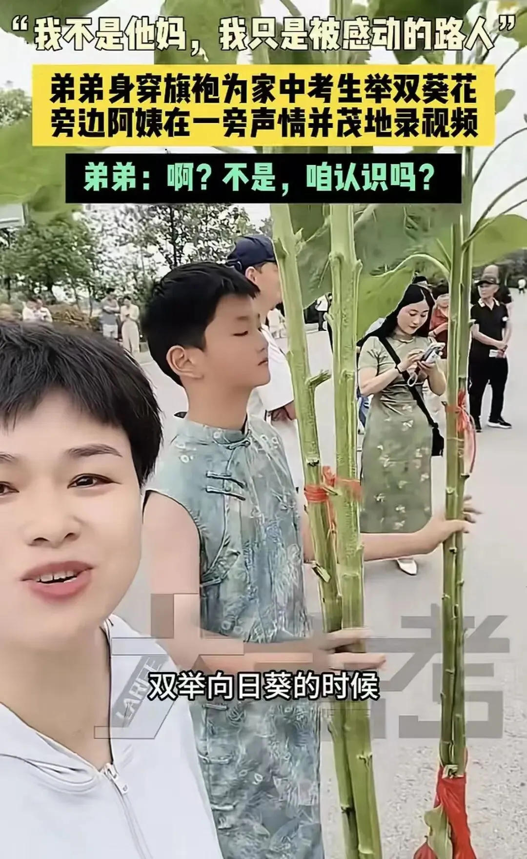 高考终铃落:一张试卷,写满滚烫的少年盛夏-第8张图片-四季读书网