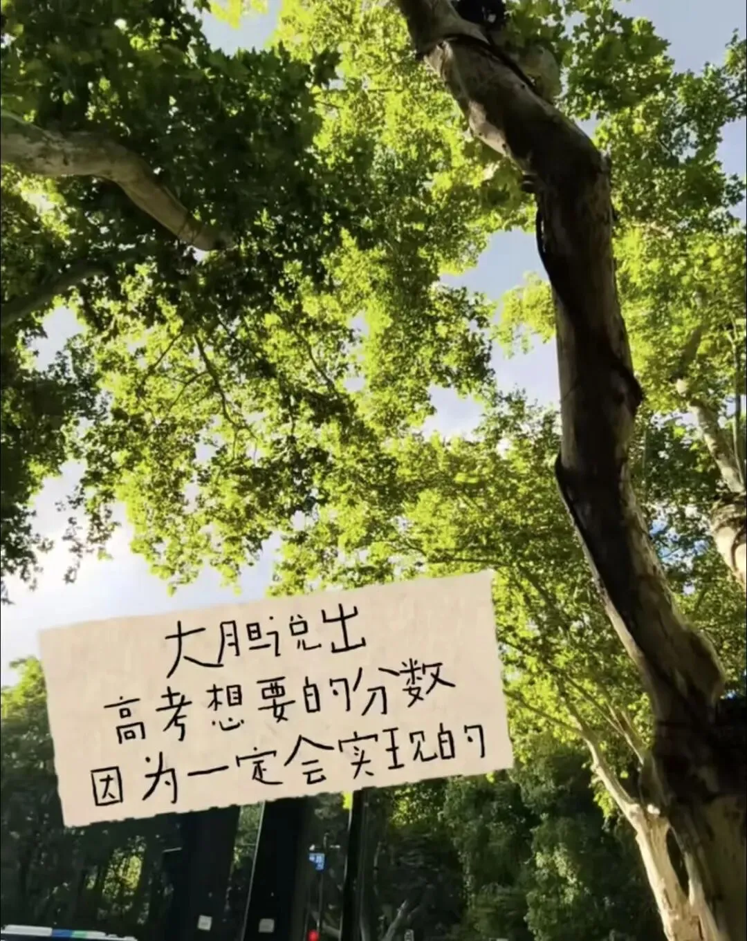 高考终铃落:一张试卷,写满滚烫的少年盛夏-第24张图片-四季读书网
