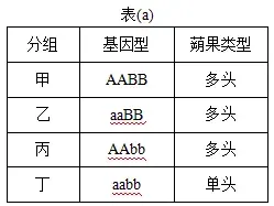 高考真题丨陕西、山西、宁夏、青海2026年高考生物真题答案解析与备考策略-第12张图片-四季读书网 高考真题丨陕西、山西、宁夏、青海2026年高考生物真题答案解析与备考策略-第12张图片-四季读书网