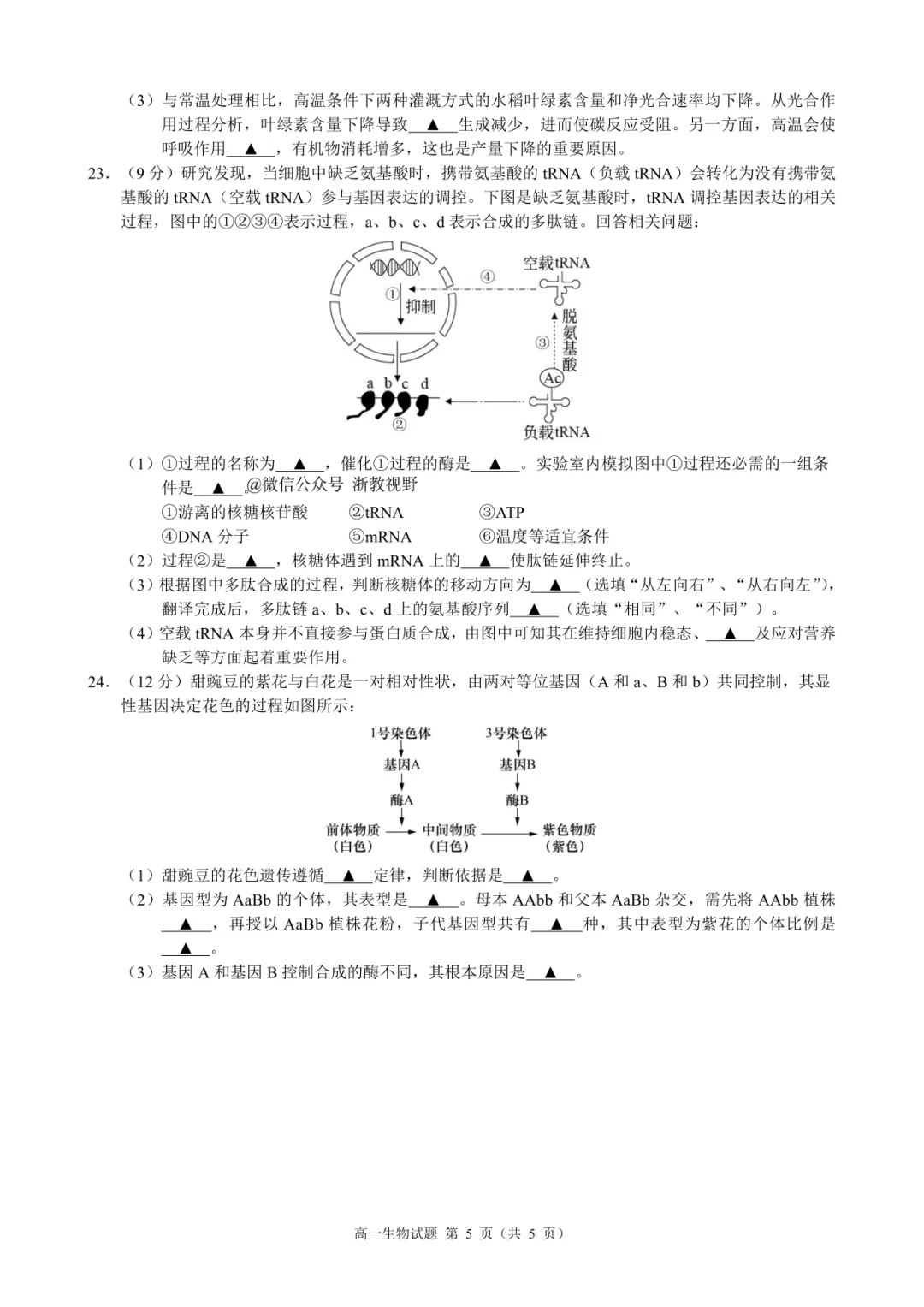 学考模拟|浙江省县域教研联盟2026年5月学业水平模拟考试高一试题及答案(内含下载链接)-第32张图片-四季读书网 学考模拟|浙江省县域教研联盟2026年5月学业水平模拟考试高一试题及答案(内含下载链接)-第32张图片-四季读书网
