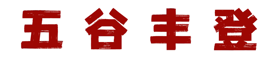 中考五日|五重祝愿相伴 一路为梦护航-第4张图片-四季读书网