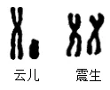 2026年内蒙古自治区赤峰市初中学业水平考试第一次模拟生物学-第5张图片-四季读书网