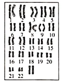 2026年内蒙古自治区赤峰市初中学业水平考试第一次模拟生物学-第7张图片-四季读书网