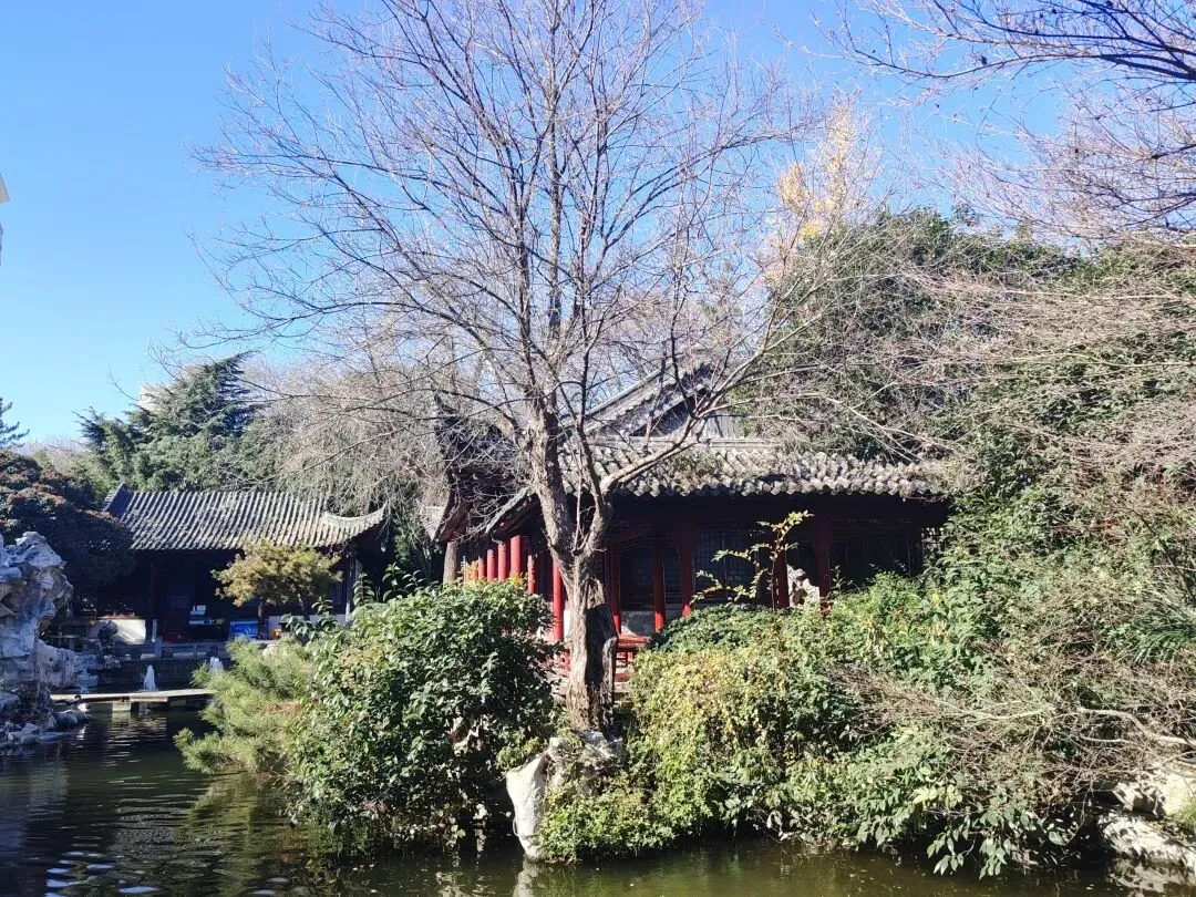 中考范文——层进式结构-第1张图片-四季读书网 中考范文——层进式结构-第1张图片-四季读书网