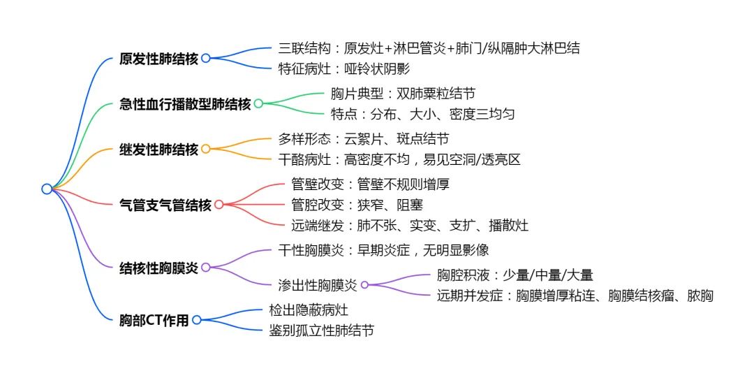 回顾真题|第四届全国结核病临床诊疗技能竞赛试题和答案(影像诊断部分)-第21张图片-四季读书网