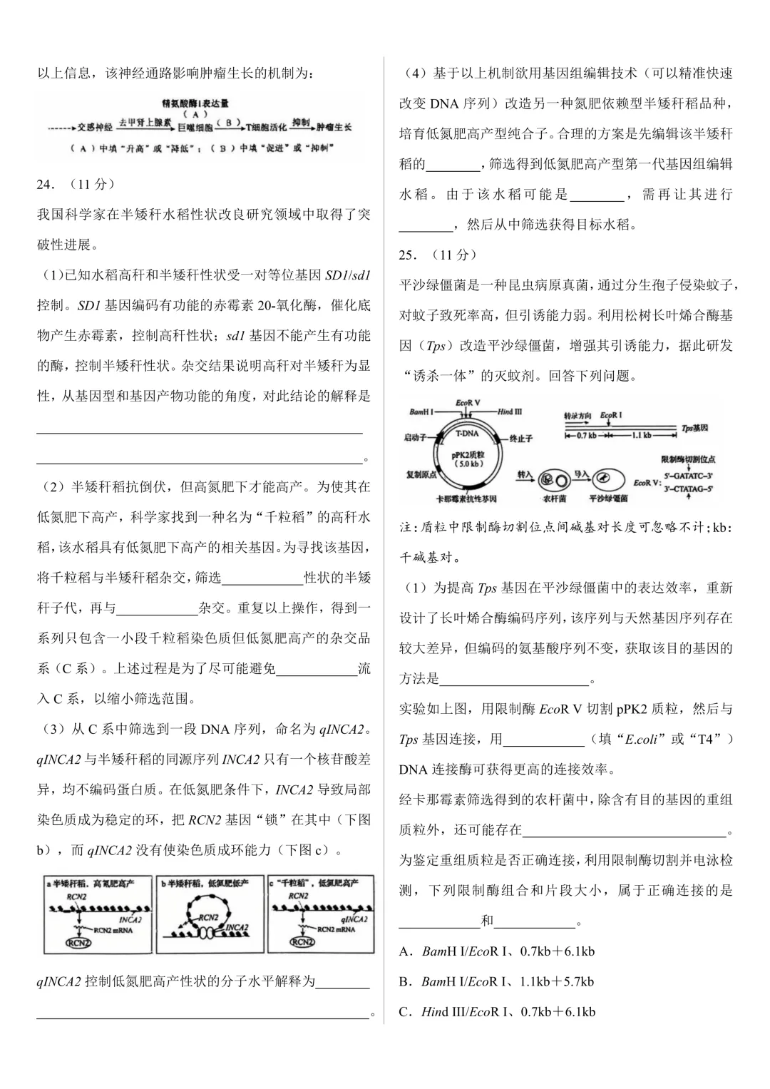 【高考真题】2026年高考黑吉辽蒙卷生物高考真题-第6张图片-四季读书网