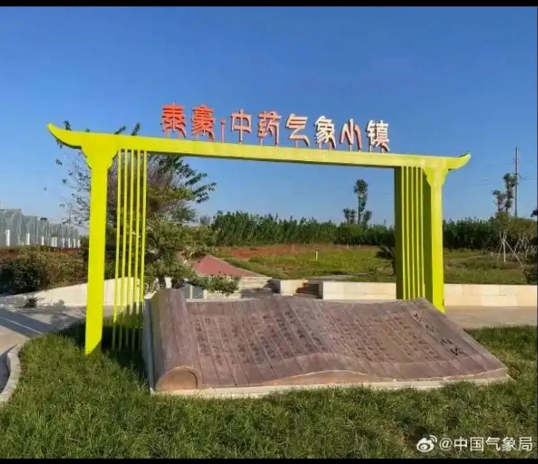 樟树气象小镇 入选广东省高考试卷-第3张图片-四季读书网 樟树气象小镇 入选广东省高考试卷-第3张图片-四季读书网