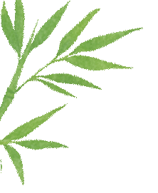 茶陵县芙蓉学校2026年中考及端午节放假安排与安全提示-第15张图片-四季读书网