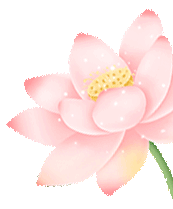 茶陵县芙蓉学校2026年中考及端午节放假安排与安全提示-第20张图片-四季读书网