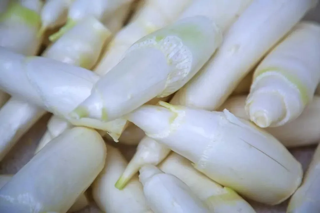 稳进提质|端午中考双线护航,宁波最大“菜篮子”“果盘子”“肉案子”食材供应满满-第3张图片-四季读书网