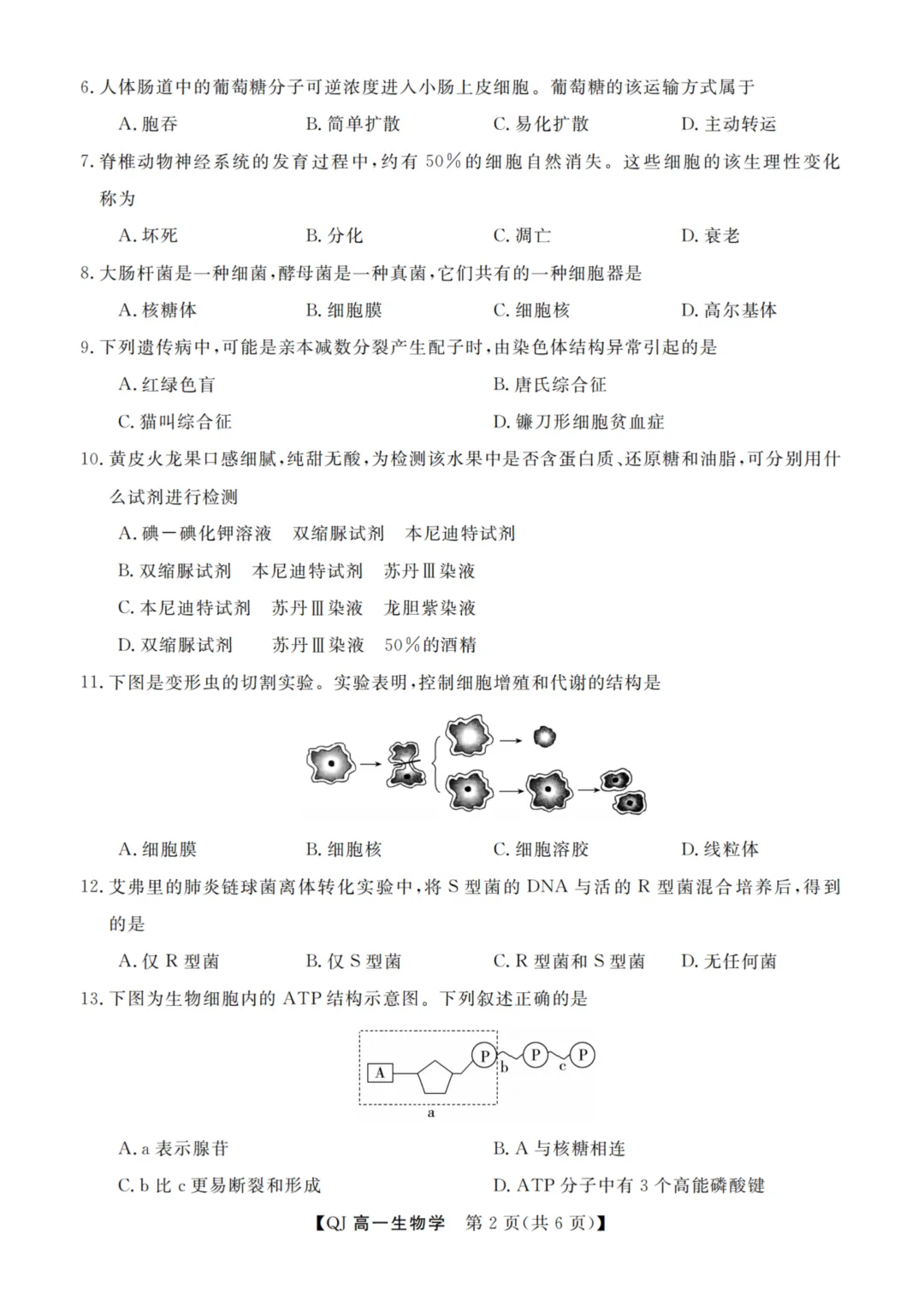 【赋分表+试卷】浙江省9+1联盟2026年6月学业水平模拟考试试卷和赋分表出炉!-第44张图片-四季读书网