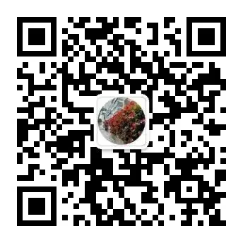 新疆中考英语|5 年真题满分范文 +2026 押题作文-第20张图片-四季读书网