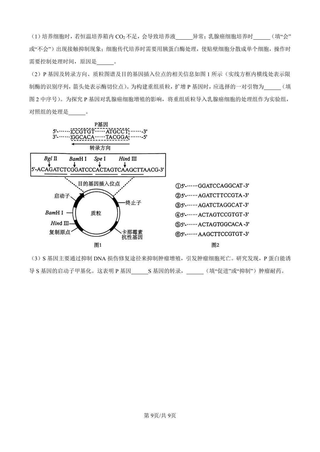 2026年全国各地高考真题-第171张图片-四季读书网