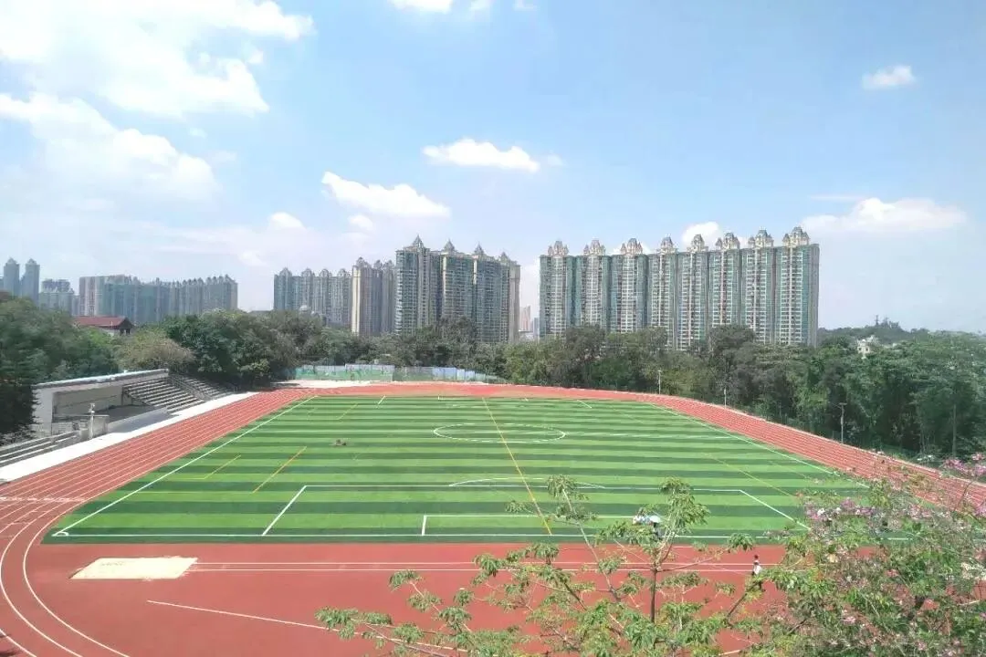 2026广州中考升学指南:公办中专A类前十院校盘点-第14张图片-四季读书网 2026广州中考升学指南:公办中专A类前十院校盘点-第14张图片-四季读书网