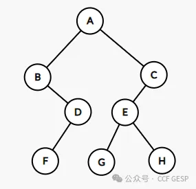 真题解析/GESP12月认证C++七级真题回顾-第12张图片-四季读书网 真题解析/GESP12月认证C++七级真题回顾-第12张图片-四季读书网
