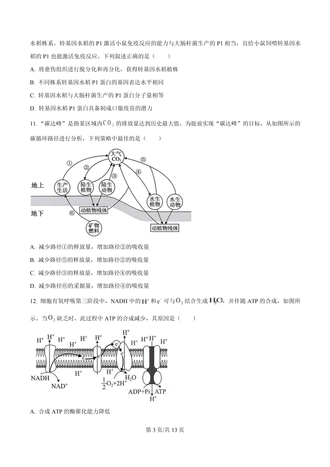 2026年浙江省1月首考生物真题卷-第6张图片-四季读书网