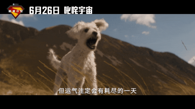 【6月17日影讯】【青春散场试卷 · 光影续写欢喜】| 超全片单,燃爆假期!!!学生观影只需20元!-第71张图片-四季读书网 【6月17日影讯】【青春散场试卷 · 光影续写欢喜】| 超全片单,燃爆假期!!!学生观影只需20元!-第71张图片-四季读书网