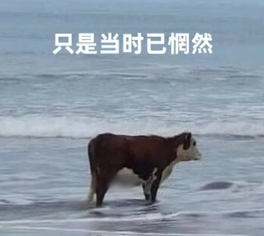中考新变化:民办公费班“戏份”剧增-第2张图片-四季读书网