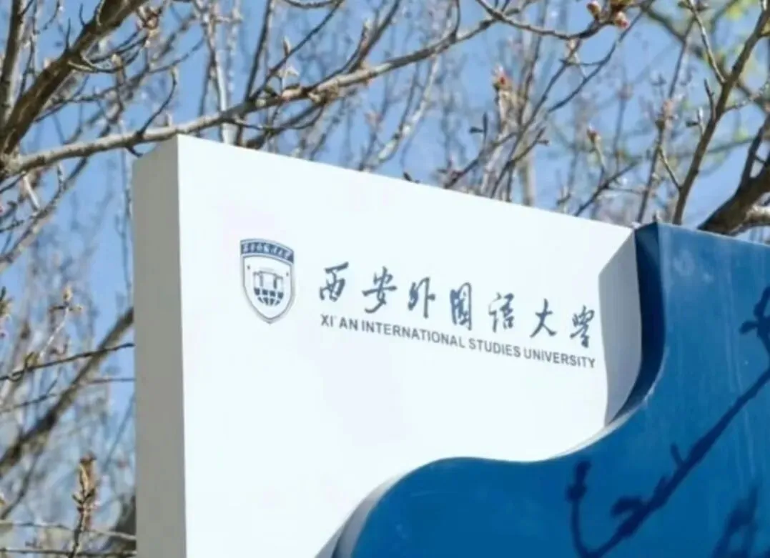 写作真题 || 信息时代的文化传播:深植根脉,方能抵达 【2026 西安外国语大学】-第1张图片-四季读书网